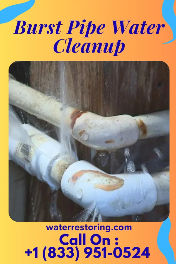 Burst Pipe Water Cleanup in Queen Anne, MD