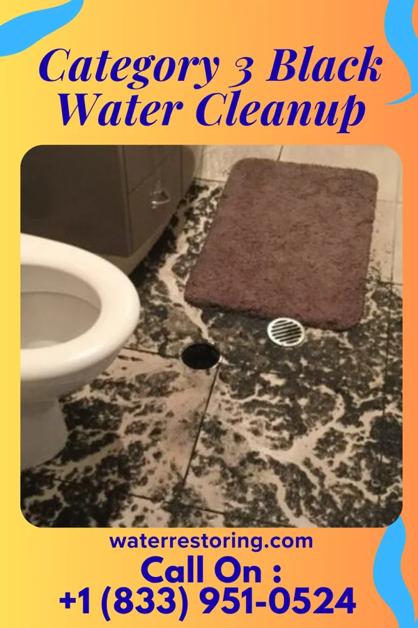 Category 3 Black Water Cleanup in Queen Anne, MD