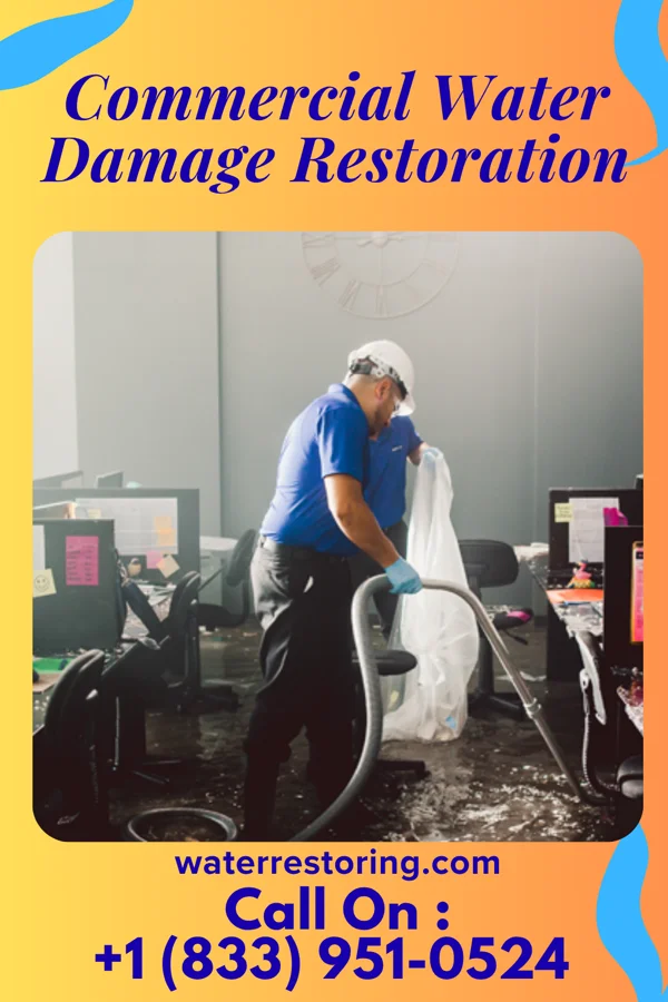 Commercial Water Damage Restoration in Queen Anne, MD