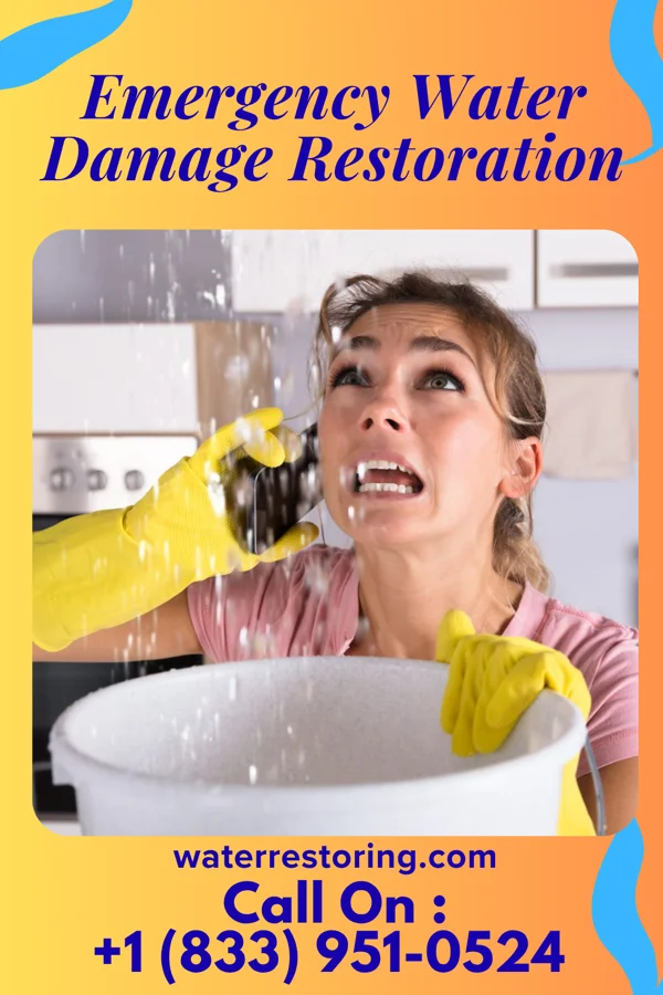 Emergency Water Damage Restoration in Queen Anne, MD