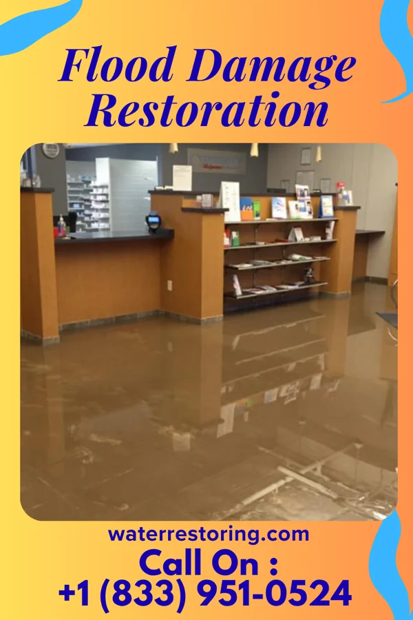 Flood Damage Restoration in Queen Anne, MD