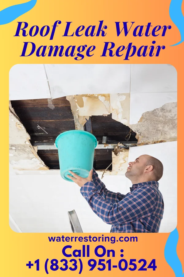 Roof Leak Water Damage Repair in Queen Anne, MD