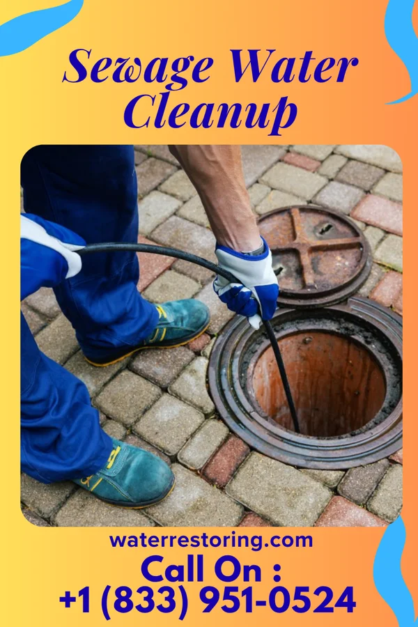 Sewage Water Cleanup in Queen Anne, MD