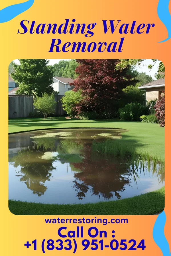 Standing Water Removal in Queen Anne, MD